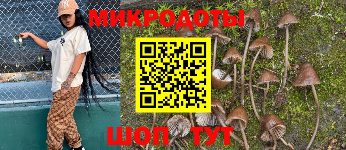 Галлюциногенные грибы Cubensis  Вход с VPN  Нурлат 